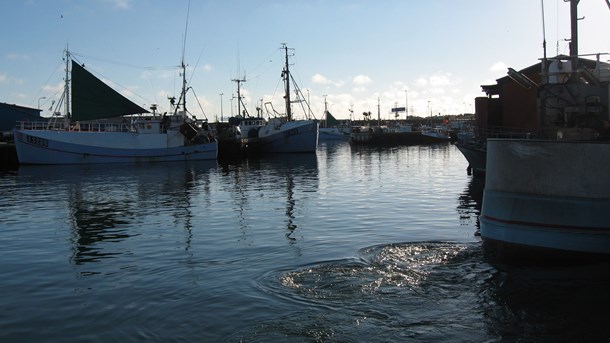 EU-Kommissionen fastlægger hvert år de danske fiskekvoter for det kommende år ud fra blandt andet et hensyn til fiskebestandenes velbefindende.