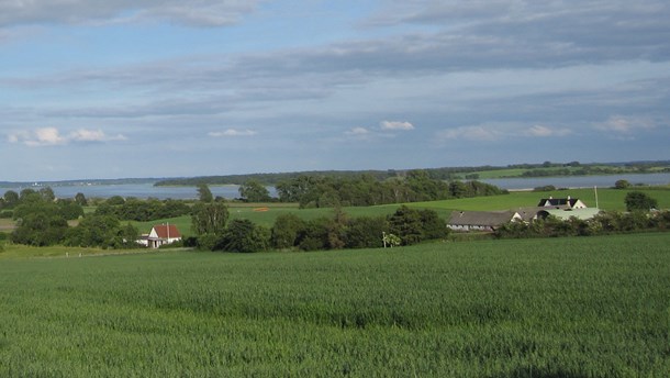 Kvælstofudledningen til kystområderne i Danmark er rent faktisk faldt i
det første år, hvor danske landmænd kunne gøde ekstra som følge af
Landbrugspakken, skriver Jørgen Evald
Jensen.<br>