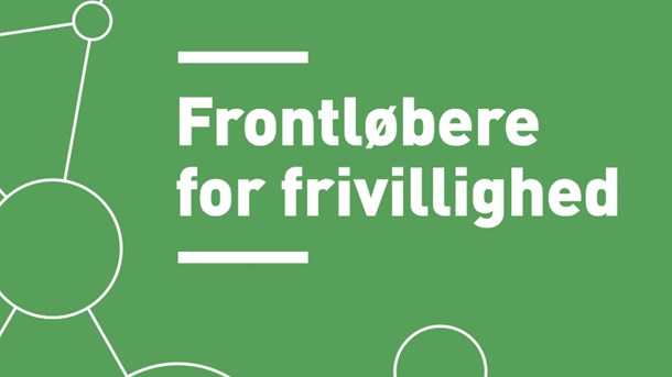 Boguddrag: Frivilligkonsulentens fire roller