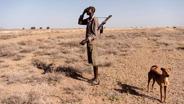 Bevæbnet hyrde vogter
sine geder i det nordlige Kenya, hvor der flere gange har været voldelige kampe
mellem etiopiske og kenyanske hyrdefolk på grund af mangel på græsgange.