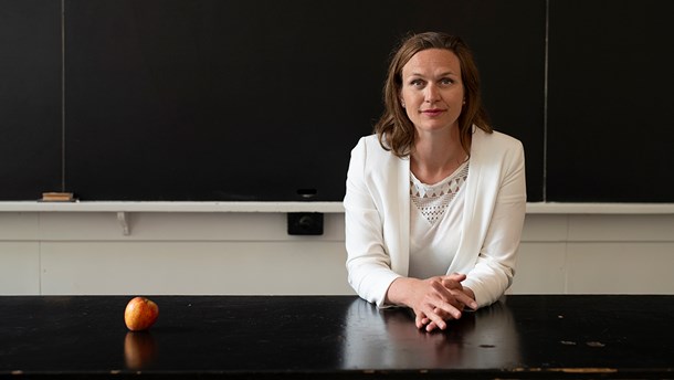 Riisager opfordrer borgerlige partier til at dyrke familiepolitikken ...