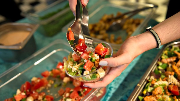 Vegetariske måltider i de statslige kantiner var bladnt regeringens forslag til grønne indkøb, men eller var det ifølge kritikere tyndt med mål og krav i ny strategi.