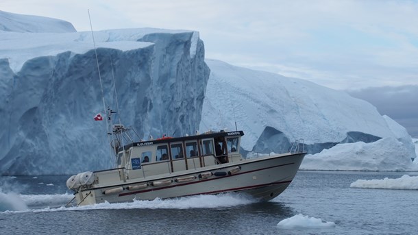 I takt med at isen smelter, bliver det nemmere og nemmere at fiske i havene omkring Arktis, skriver&nbsp;Karen Edelvang.