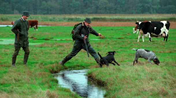 Jægere frygter forbud mod jagt i beskyttet natur.