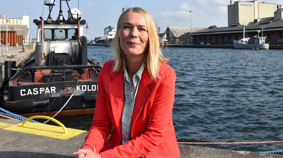 Socialdemokratiets borgmesterkandidat Birgitte Munk Grunnet har ikke direkte politsk erfaring, men har i mange år arbejdet i den offentlige sektor i jobcentre, regionen og nu Kolding Kommune.