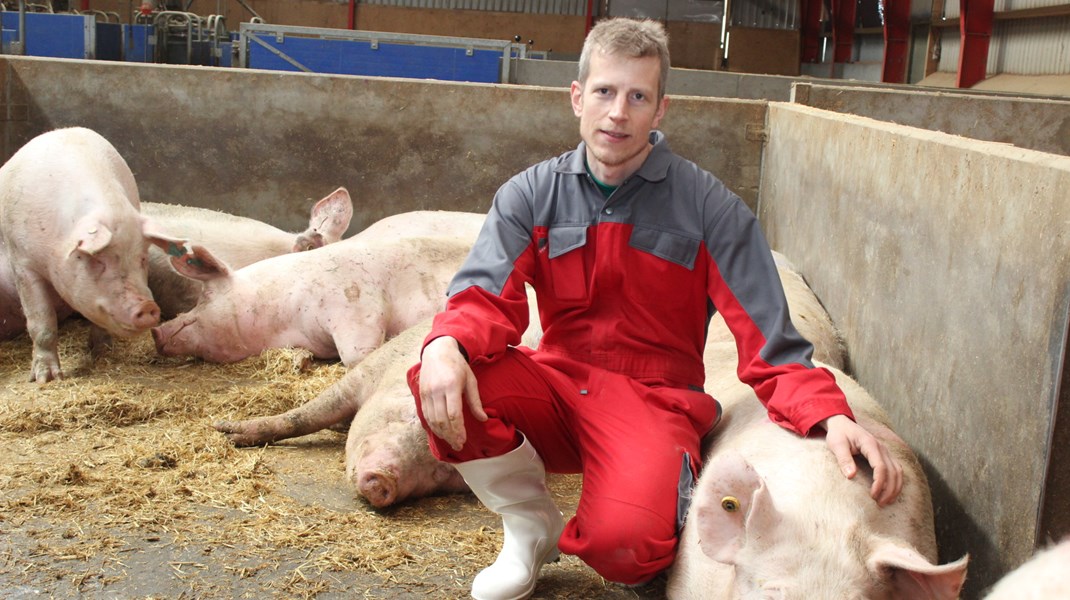 Dyrevelfærden er ikke bedre i økologisk produktion end i konventionel produktion, skriver Jeppe Bloch Nielsen.