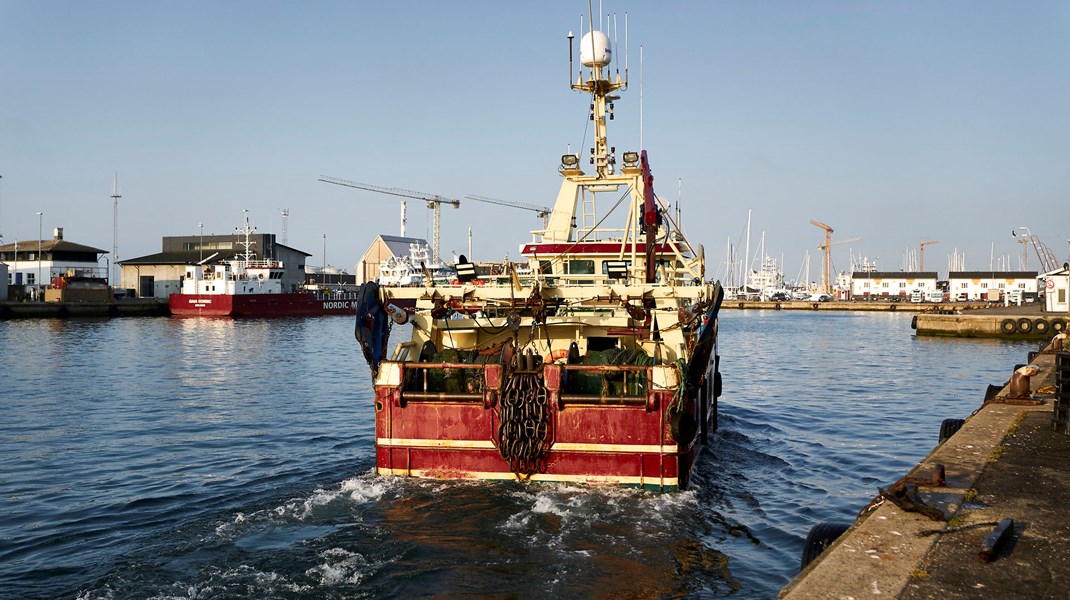 Fiskeriet i Nord- og Vestjylland blev ramt hårdt af Brexit. Nu skal erhvervet kompenseres.&nbsp;