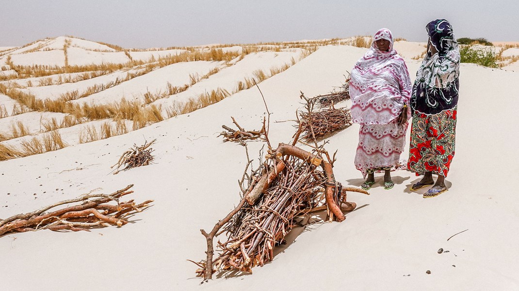 I Mali forsøger man at forhindre ørkenspredning ved at bygge barrierer i sandet. Maj, 2021.