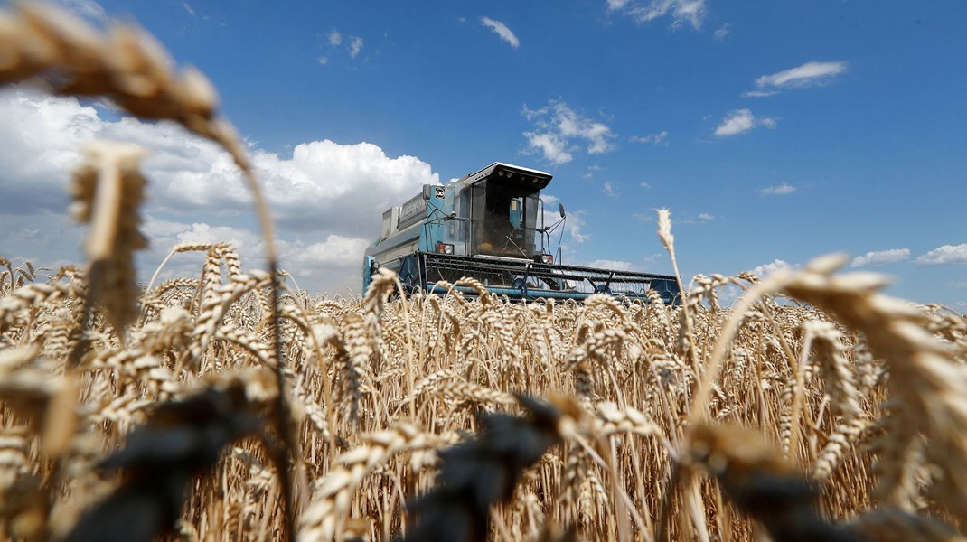 Ukraine er en af verdens største eksportører af hvede. Ruslands invasion forventes derfor også at føre til markante prisstigninger på korn i Europa.