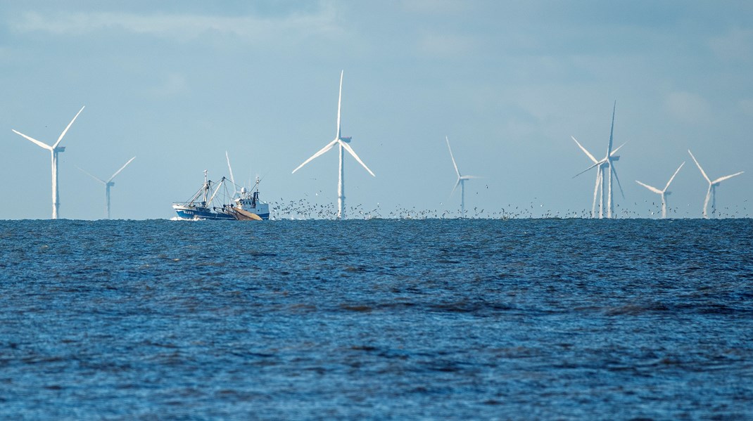 I den seneste finanslov er aftaleparterne blevet enige om at etablere en trawlfri zone i Bælthavet.