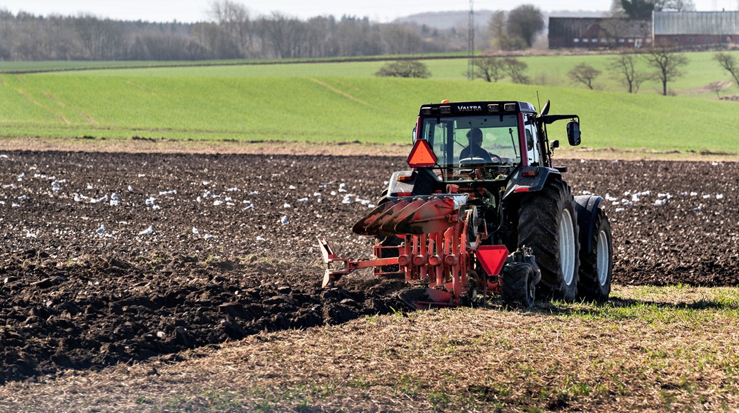 Beslutningen fra EU's landbrugsministre giver medlemslandene mulighed for at give landmænd lov til at pløje braklagte jorde op.&nbsp;