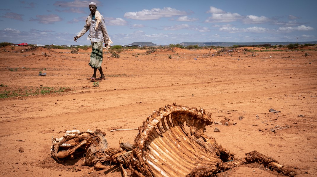 Tørken på Afrikas Horn rammer dele af den etiopiske befolkning hårdt, og FN vurderer, at flere hundredetusinde er drevet på flugt.&nbsp;