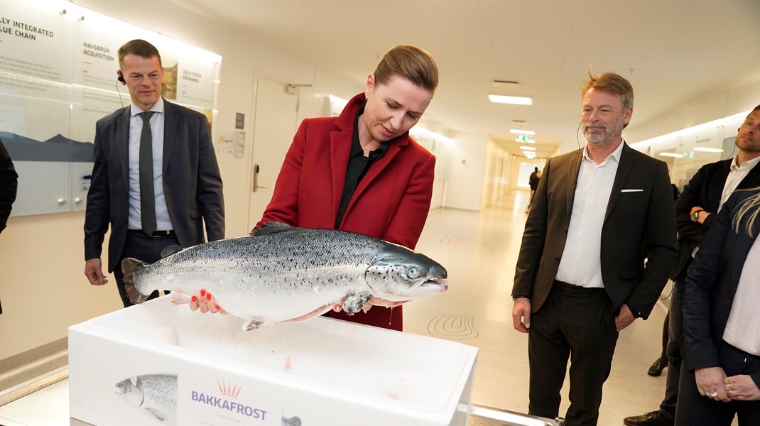 Statsministeren besøger viksomheden Bakkafrost, der er den største lakseopdrætter på Færøerne. Som følger af krigen i Ukraine, har Færøerne stoppet eksport af al laks til Rusland.&nbsp;