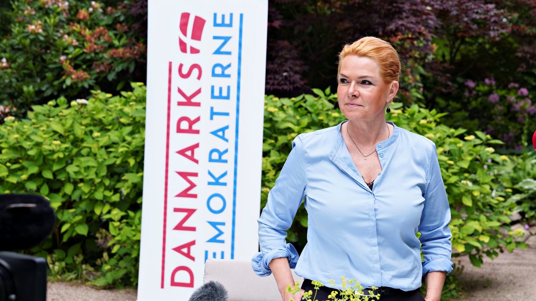 Danmarksdemokraterne&nbsp;præsenterede 17. august&nbsp;en liste med 28 nye folketingskandidater, hvoraf ni er byrådsmedlemmer.
