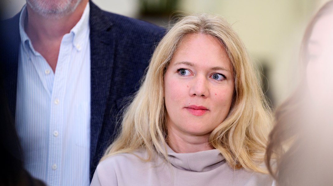 Lisbeth Bech-Nielsen har været it-ordfører for SF siden 2016.