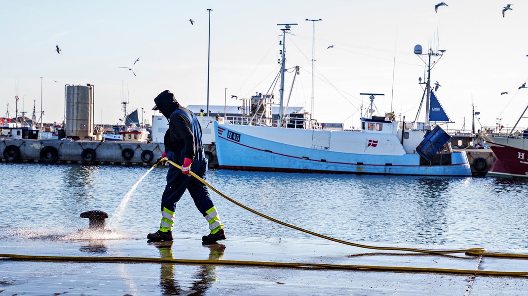Røde partier presser på for at forbedre havmiljøet, inden valget bliver udskrevet
