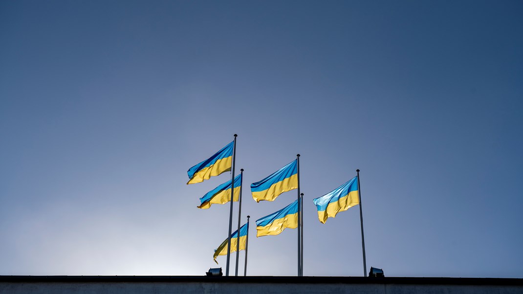 Danmark er et af de lande, der har bidraget mest i at støtte Ukraine - med alt fra våben over medicin til humanitær bistand, skriver Erik Boel.<br><br>