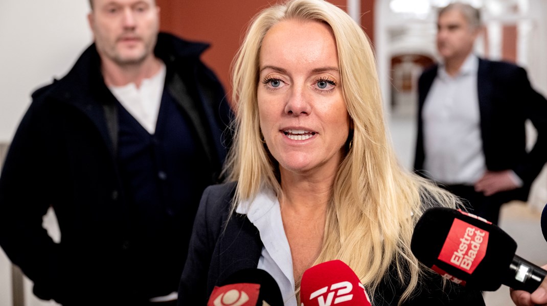 Nye Borgerlige har fordelt ordførerskaber og valgt en ny gruppenæstformand efter Mette Thiesen, der mandag meldte sig ud af partiet.