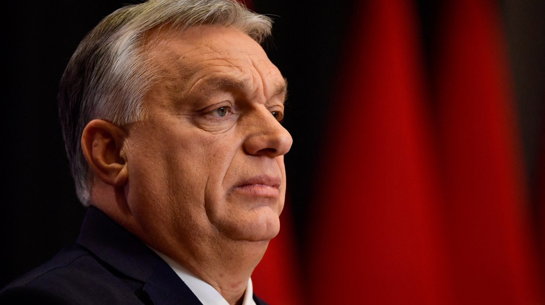 Hvis Ungarn melder sig ud af Nato og EU, og Ukraine samtidig falder, hvem skal så garantere, at Ungarn ikke også ender på Putins menu, spørger Vibe Termansen.