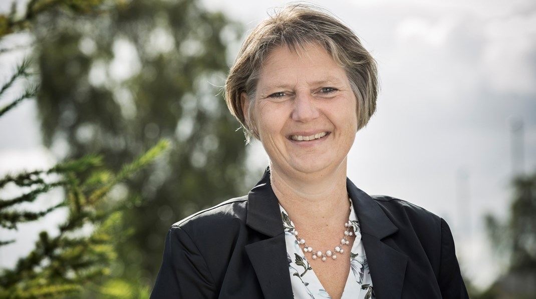 <span>Hanne Bak Lumholt har erfaring
fra KL og Center for Offentlig Kompetenceudvikling. </span>