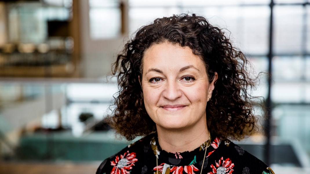 Morten Bødskov udpeger ny direktør for Erhverv