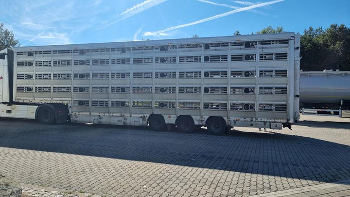 Med fem etager på traileren kan der læsses flere hundrede danske smågrise i svinetransporten til Verona. Danmark eksporterede 11 millioner grise på lange transporter. 