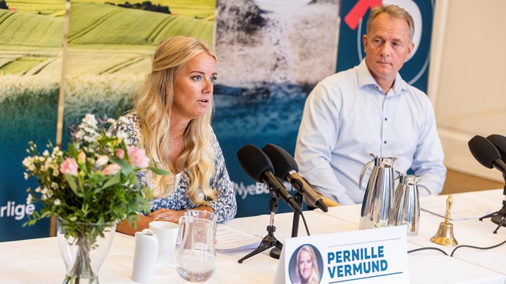 Med Peter Seier Christensens sygemelding var Nye Borgerlige kun repræsenteret af to mandater på Christiansborg. Pernille Vermund og Kim Edberg Andersen. Nu har de alle tre meldt sig ud af partiet.