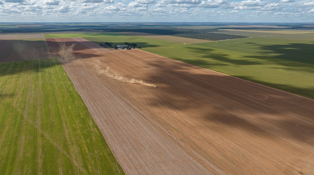 Her ses ifølge Earthsight et område i Cerrado, der for nylig er blevet afskovet for at gøre plads til produktion af bomuld. Foto af taget i juni 2023.