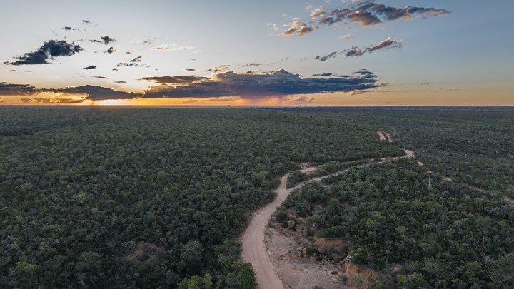 Cerrado er verdens mest naturrige savanne.