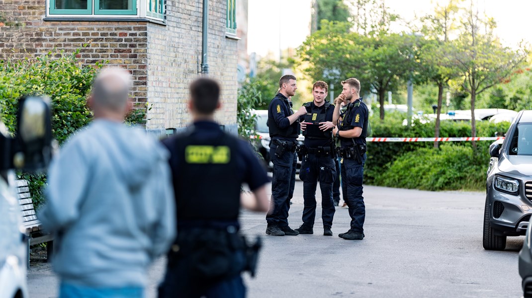 Billedet i artiklen