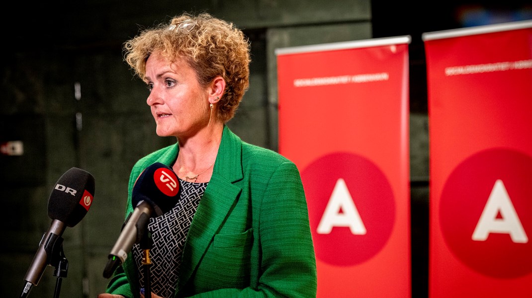 Kritik mod Rosenkrantz-Theils vuggestueplan: 'Urealistisk og asocial'