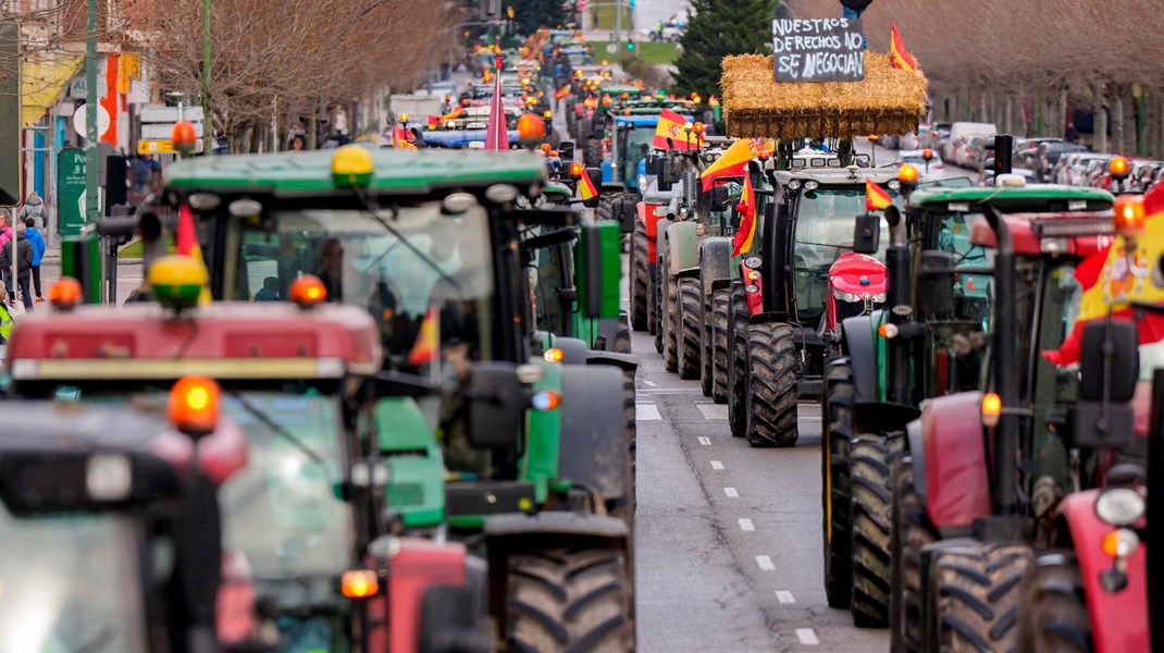 Europas landmænd kæmper til det sidste mod argentinske bøffer