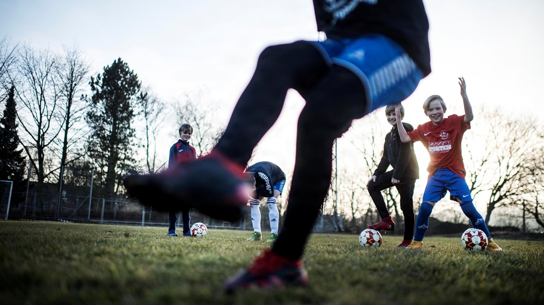 Professor: Politikerne bør besvare disse fire spørgsmål, før de skriver vigtig lov om