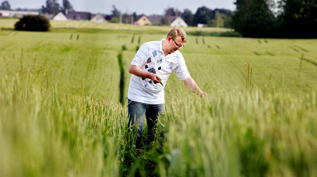 Troels Lund Poulsen fotograferet&nbsp;på en af sine marker ved sin gård ved Tølløse i juli 2010.&nbsp;