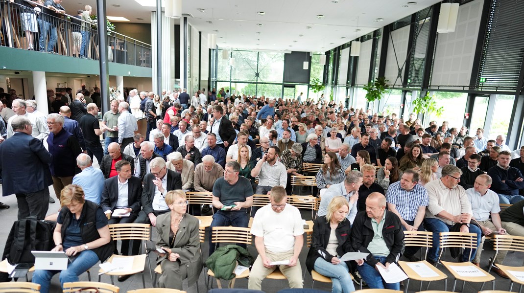 Der var lagt op til at gå efter Københavns “spasserrøve”. Men svinebønderne gik mere pragmatisk til værks